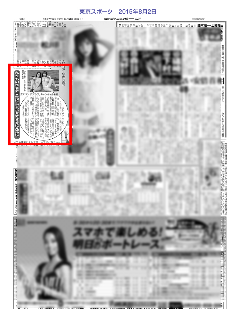 アペンザ活動実績