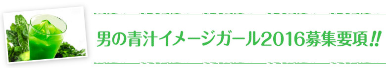 2015年イメージガール募集要項